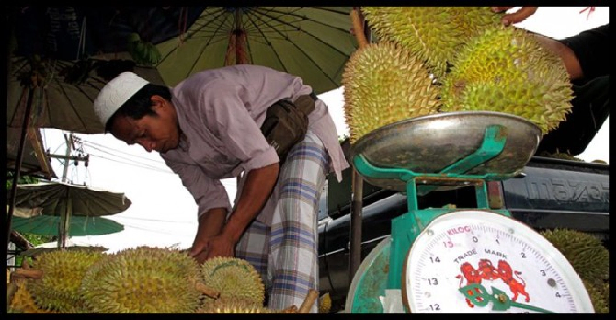 มาเลย์แย่งตลาดทุเรียนในจีนจากไทย มาเลย์แย่งตลาดทุเรียนในจีนจากไทย