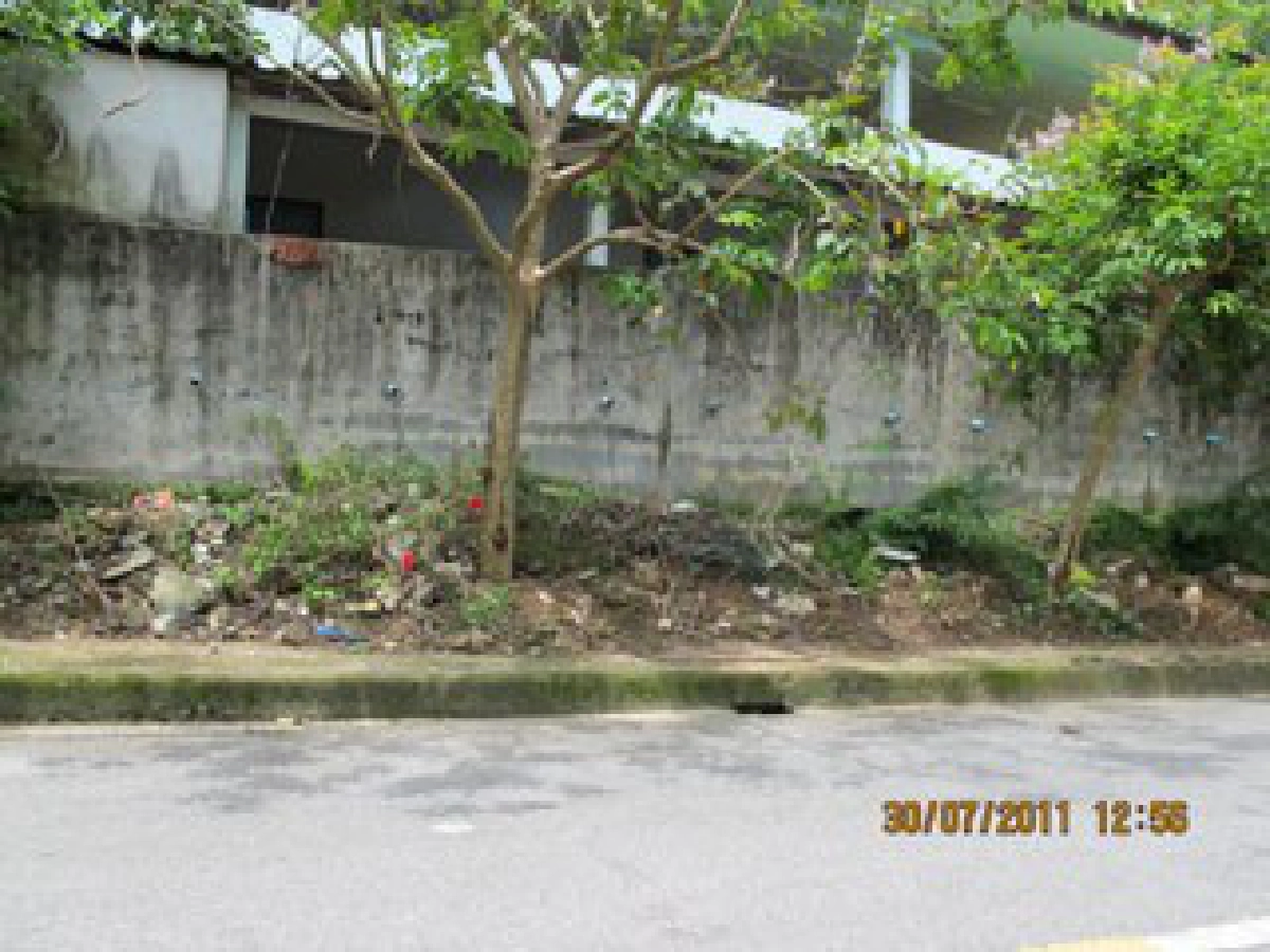 ต้นไม้รก กลัวงู

