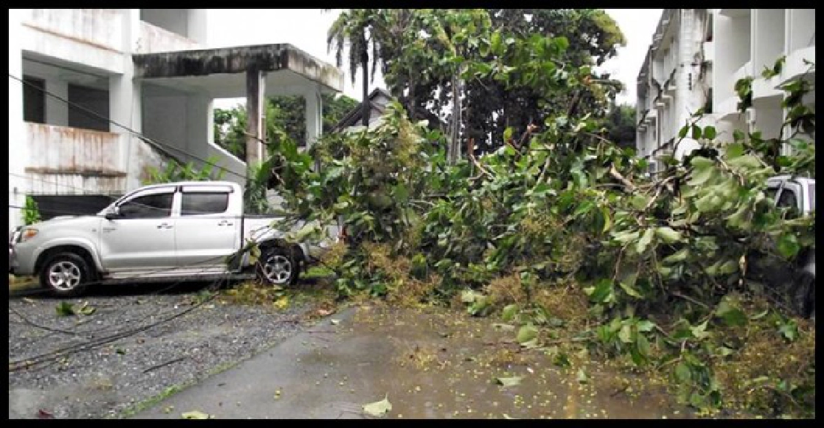 ฝนถล่มนราฯบ้านพังกว่า30หลัง ฝนถล่มนราฯบ้านพังกว่า30หลัง
