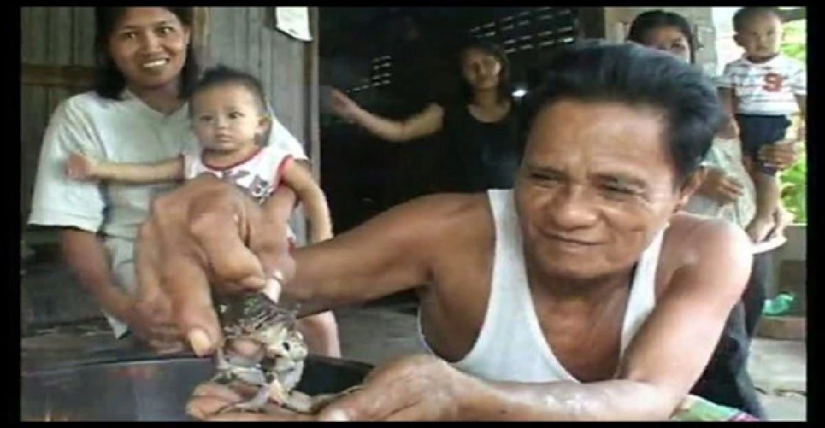 มุกดาหารพบกบประหลาดมี5ขา