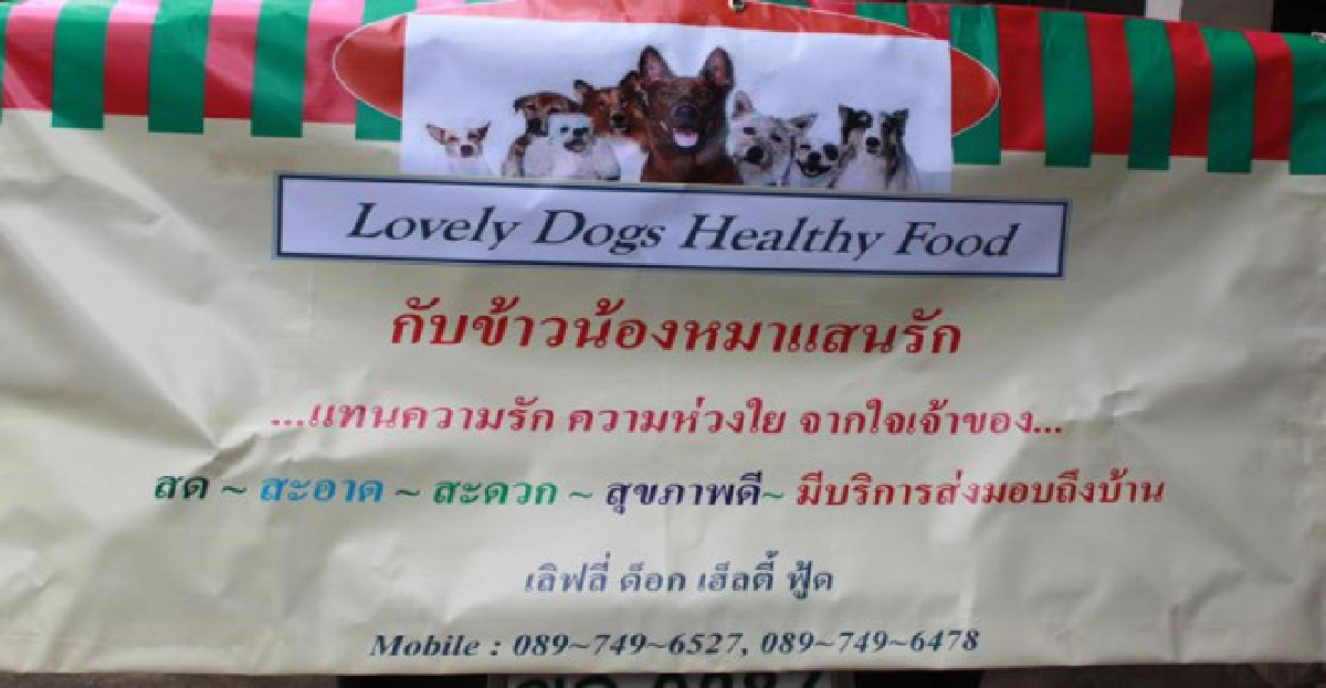 ข้าวกล่องน้องหมา'ดีลิเวอรี่'