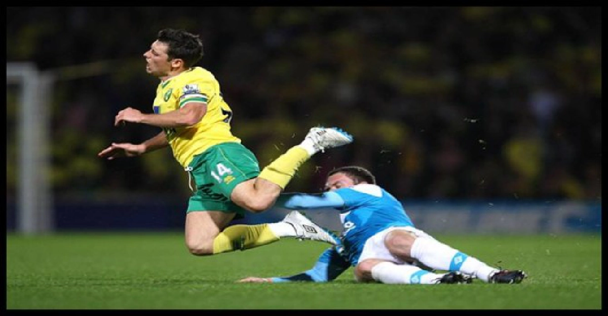 นกขมิ้นเฉือนแมวดำ2-1