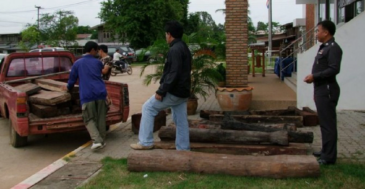 ซิ่งกระบะขนไม้พะยูงแหกด่านถูกตร.ยิงสกัด ซิ่งกระบะขนไม้พะยูงแหกด่านถูกตร.ยิงสกัด