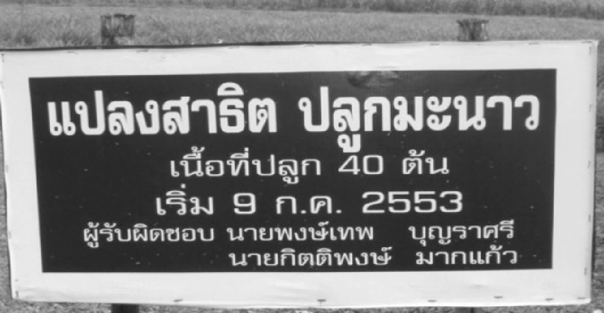 ตะลุยศูนย์เกษตรพอเพียงที่'กะปง' ตะลุยศูนย์เกษตรพอเพียงที่'กะปง'