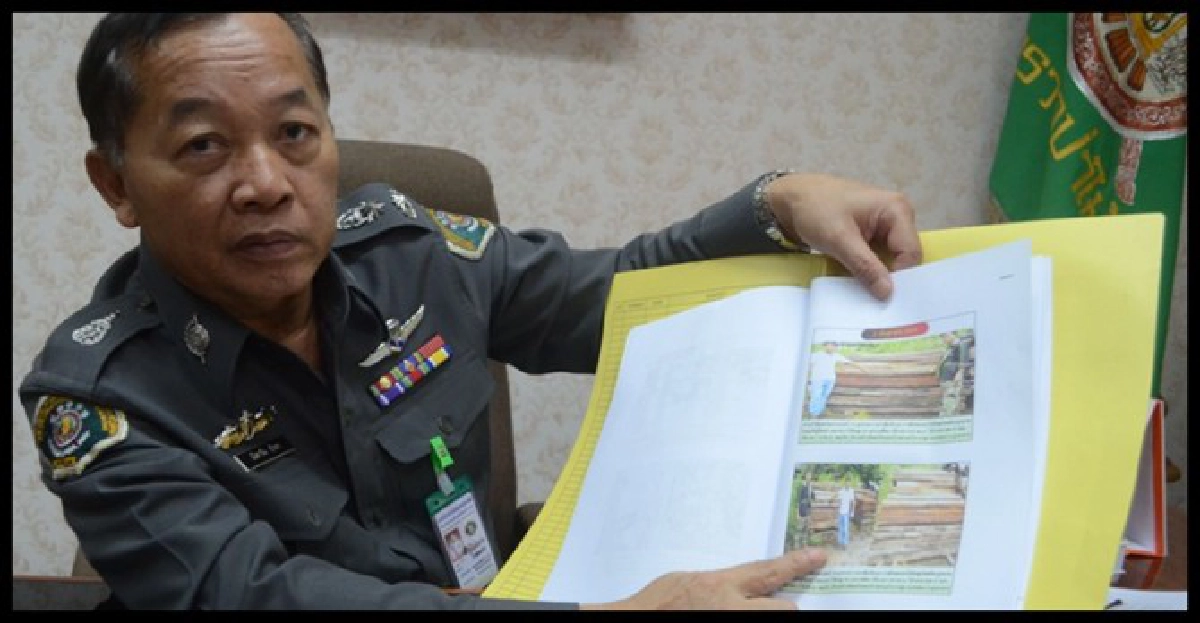 'มอดไม้'เขมือบป่าต้นตอน้ำท่วม
