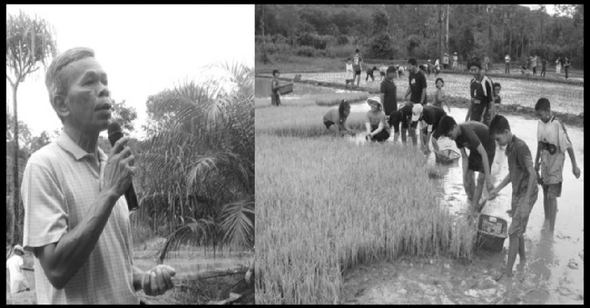 ตะลุยศูนย์เกษตรพอเพียงที่'กะปง' 