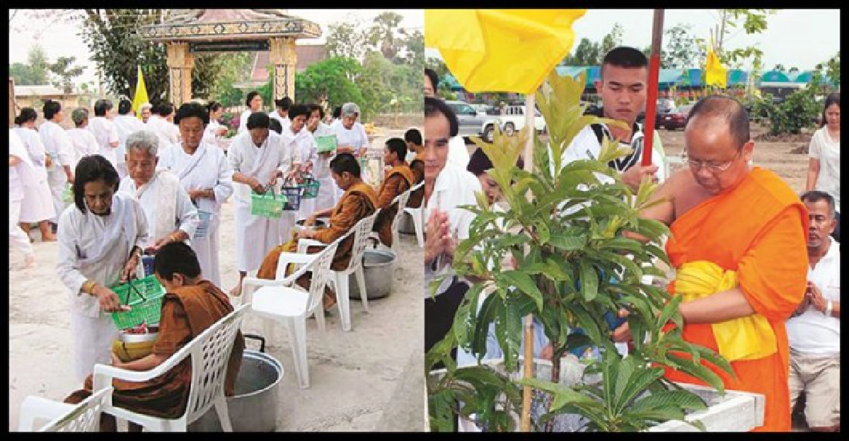 วัดสุทธาวาส(วิ)เปิดสอนกรรมฐานปฏิบัติธรรมยาวถึงสิ้นปี