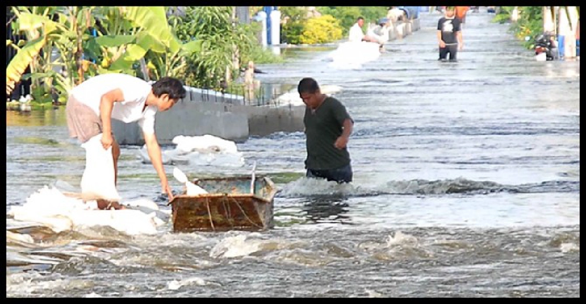 ท่วมแล้ว!นิคมฯบางกะดีสูง2 ม.!
