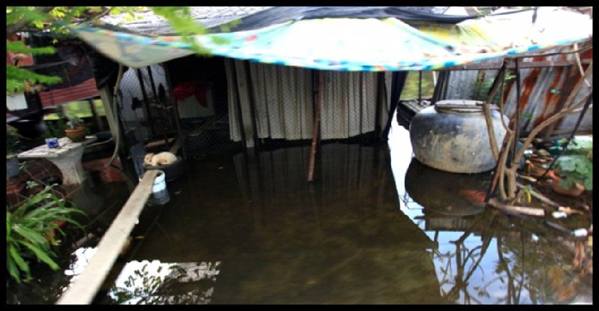 คลองหกวาใกล้วิกฤติ!