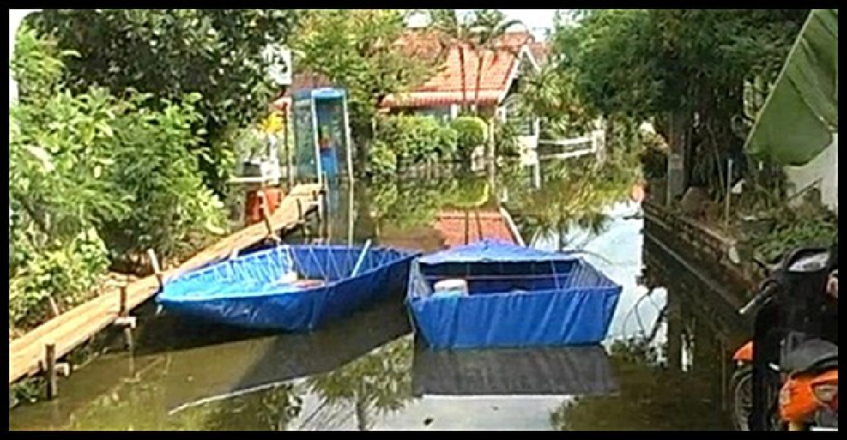 น้ำท่วมบ้านไฟช็อตสองยายหลานดับ น้ำท่วมบ้านไฟช็อตสองยายหลานดับ