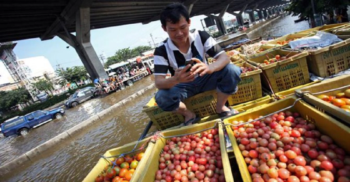 พิษน้ำท่วม!ราคาผักสูงขึ้น พิษน้ำท่วม!ราคาผักสูงขึ้น
