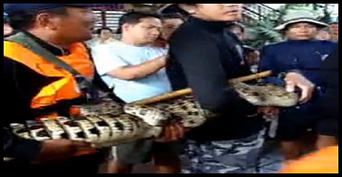 จับเพิ่ม'ไอ้เข้'ปากเกร็ดนนทบุรี จับเพิ่ม'ไอ้เข้'ปากเกร็ดนนทบุรี