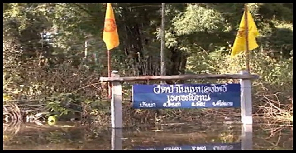 ศรีสะเกษน้ำท่วมวัดพระบิณฑบาตไม่ได้ ศรีสะเกษน้ำท่วมวัดพระบิณฑบาตไม่ได้