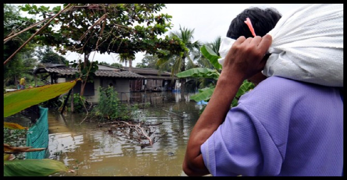 'พุทธมณฑลสาย4'น้ำท่วมถึงเอวแล้ว
