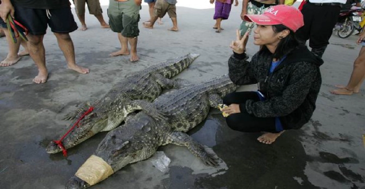 ลดผวา!สังเกตแยก'ไอ้เข้-ไอ้เห้'