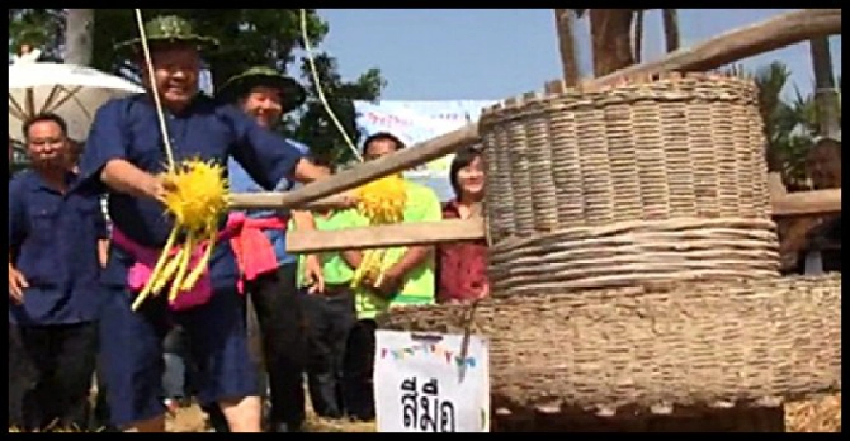 ประเพณีไทยทำขวัญข้าว ประเพณีไทยทำขวัญข้าว