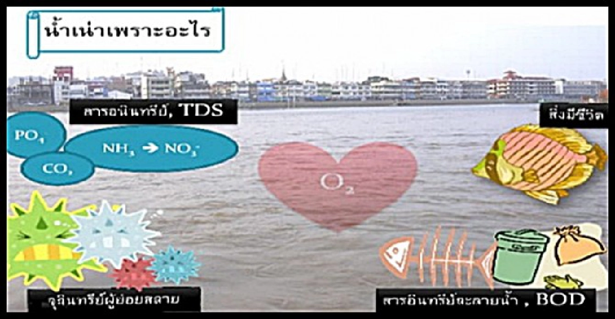 ซีรีย์น้ำเน่าๆ-เน่าเพราะอะไร ซีรีย์น้ำเน่าๆ-เน่าเพราะอะไร