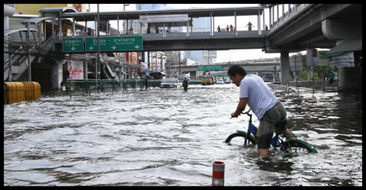 ลาดพร้าวซ.43เพิ่ม10 ซม.
ลาดพร้าวซ.43เพิ่ม10 ซม.
