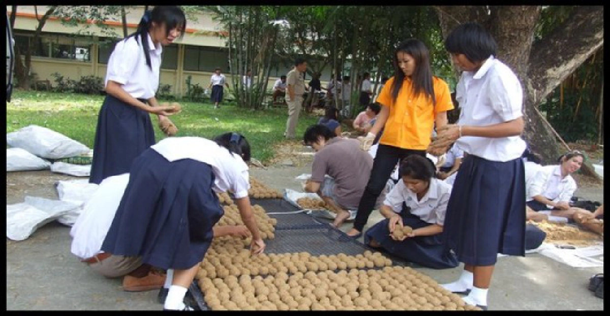 หวั่นสงครามเชื้อโรคหลังน้ำลดกองทัพสั่งกำลังพลปั้น"อีเอ็มบอล" หวั่นสงครามเชื้อโรคหลังน้ำลดกองทัพสั่งกำลังพลปั้น"อีเอ็มบอล"