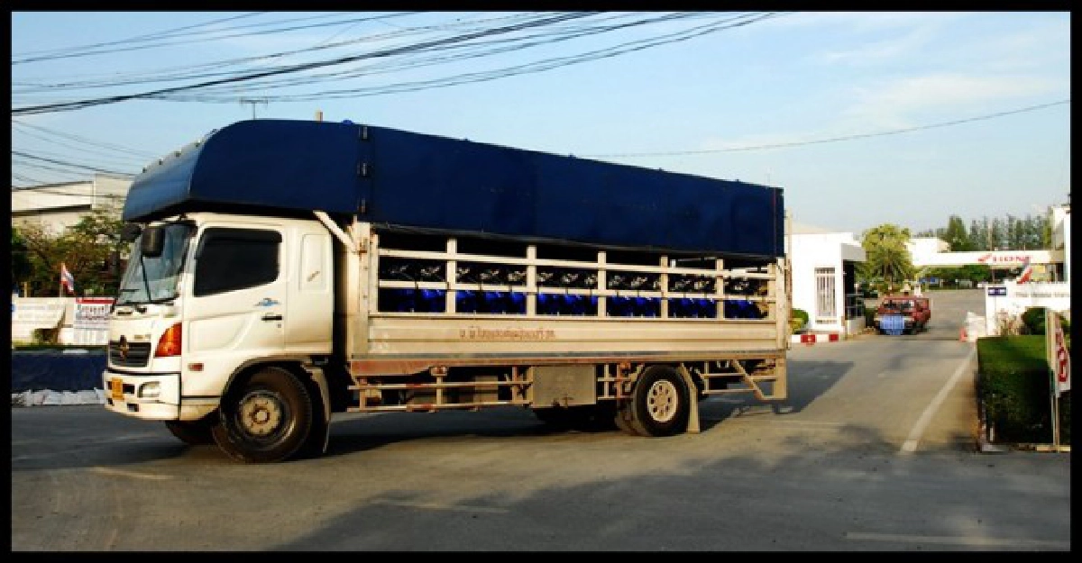 ศปภ.ยันนิคมฯลาดกระบังน้ำไม่ท่วม ศปภ.ยันนิคมฯลาดกระบังน้ำไม่ท่วม