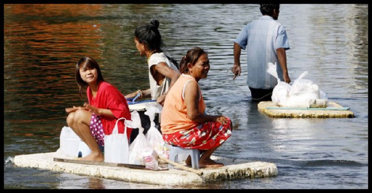 เตรียมรับมือวิกฤติอาหาร เตรียมรับมือวิกฤติอาหาร