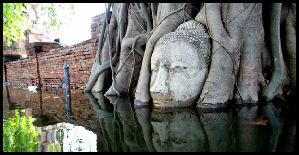 เศียรพระรากต้นโพธิ์จมน้ำลึก2ม.นานนับเดือน
