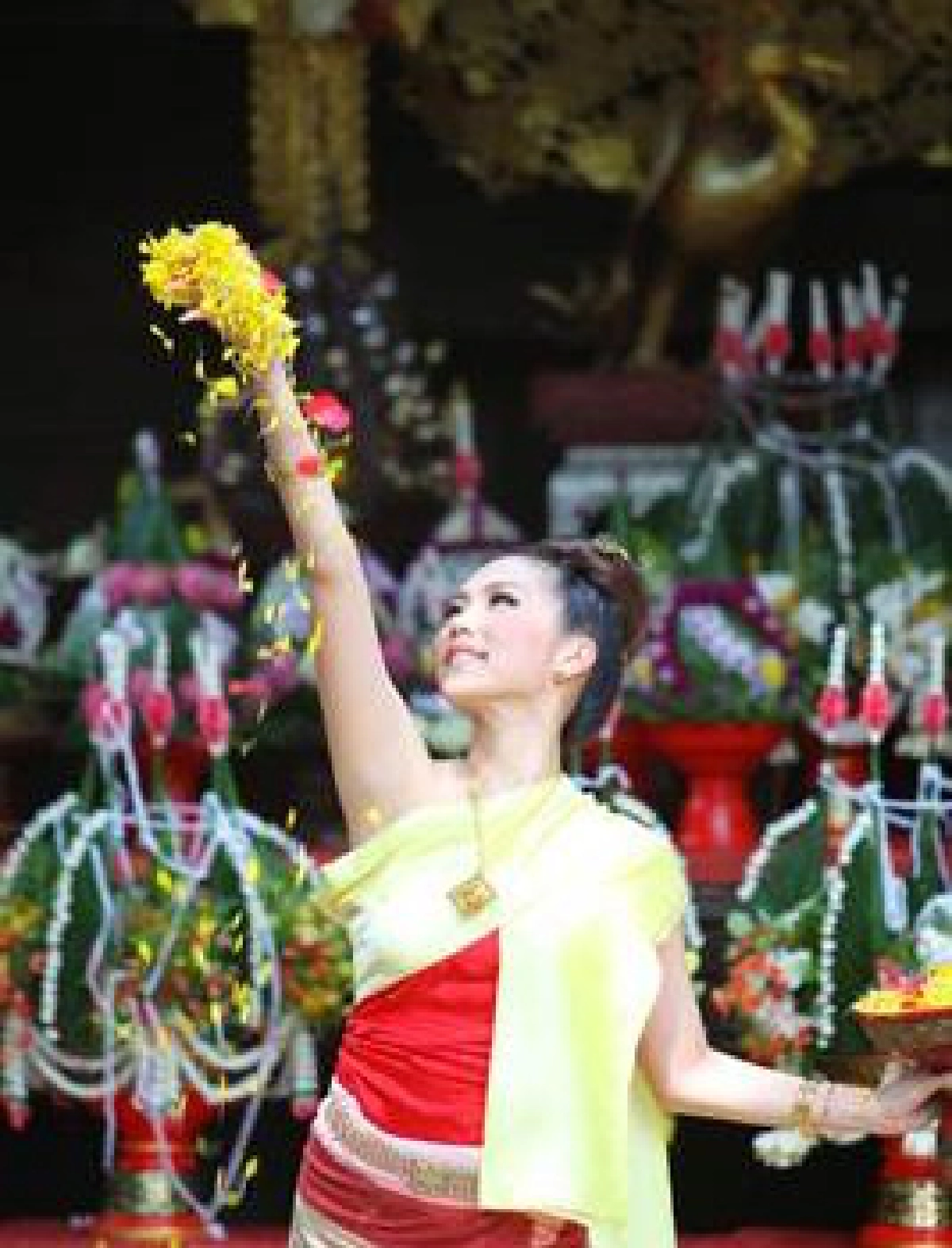 หนุ่มสาวไต้หวันผูกข้อแขนแต่งล้านนา หนุ่มสาวไต้หวันผูกข้อแขนแต่งล้านนา