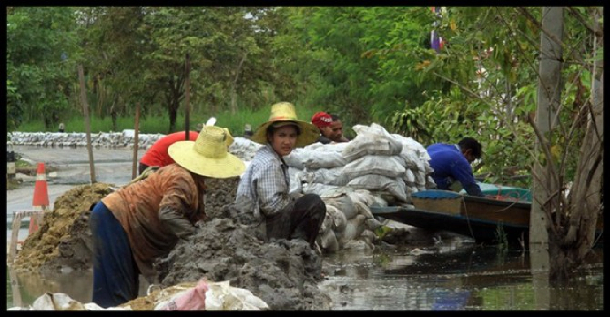 เสียงเพรียกหาความช่วยเหลือจากผู้ประสบภัยชาวสวน...ด่วน! 