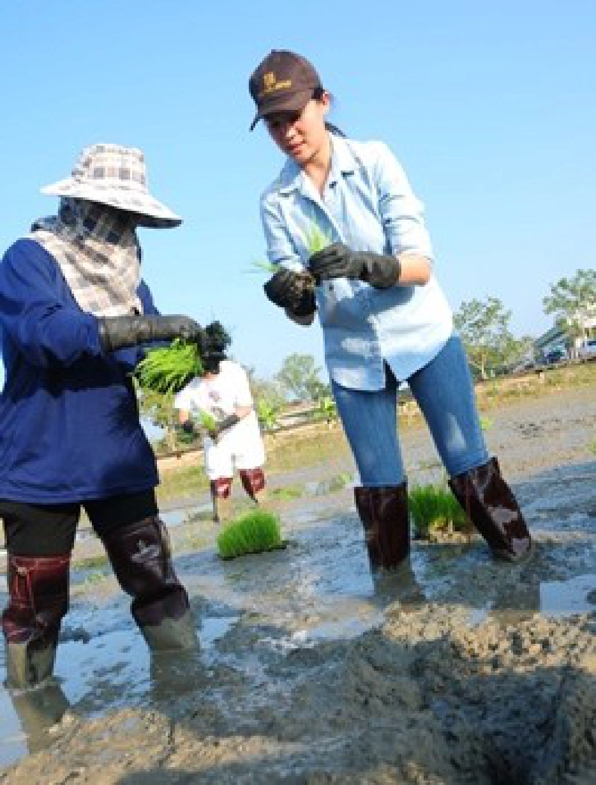 เปิดประสบการ์ณ์ใหม่ไปกับ'ฟูจิ' เปิดประสบการ์ณ์ใหม่ไปกับ'ฟูจิ'