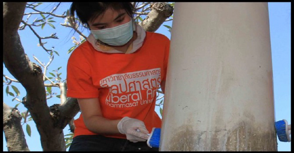 พระเทพฯทรงห่วง'เชื้อรา'บ้านน้ำท่วม   