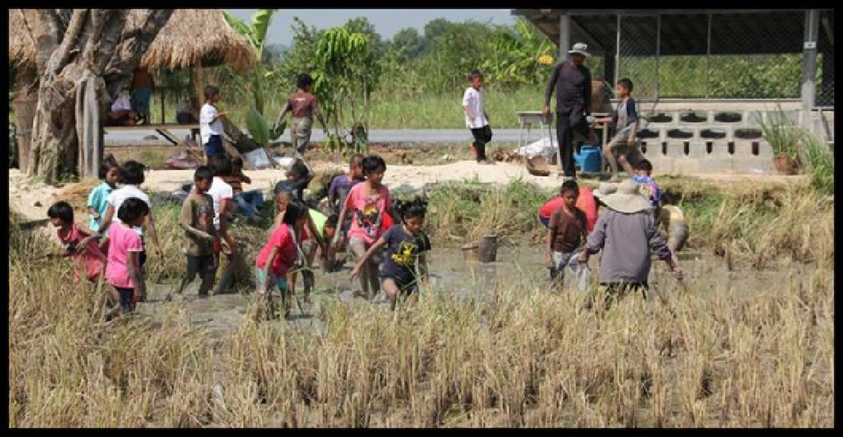 ในหลวงกับโลกาภิวัตน์