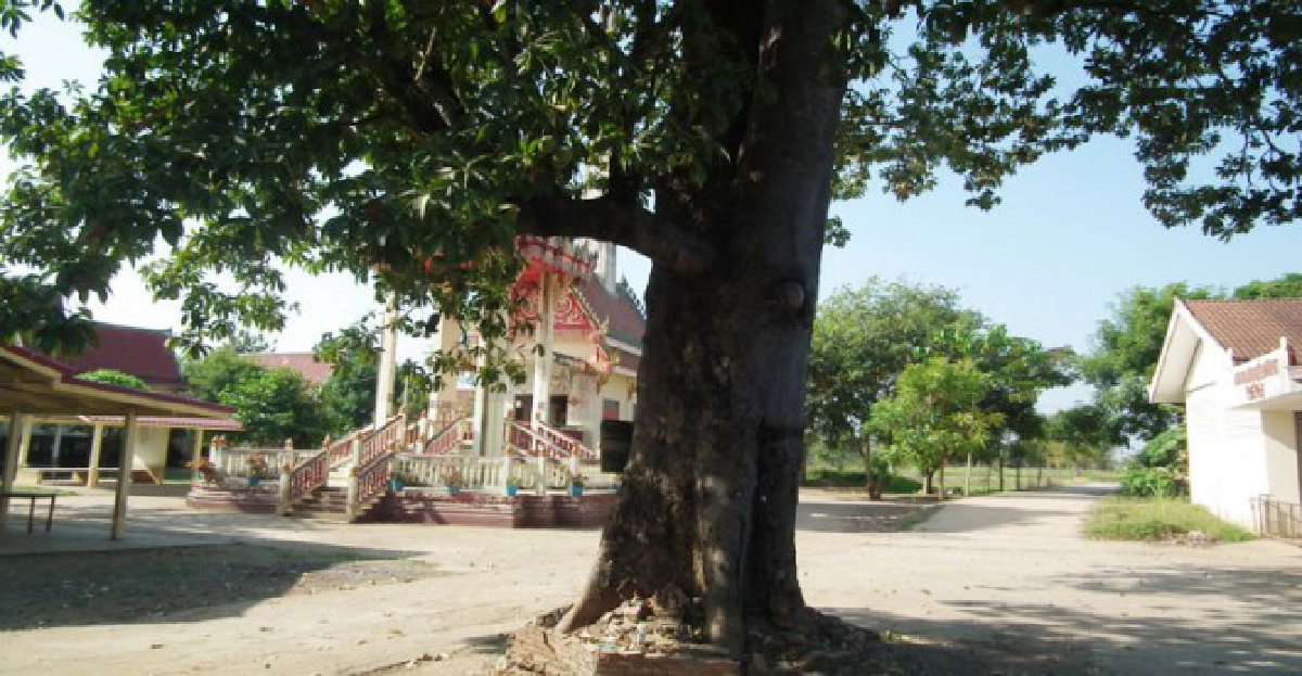 เยี่ยมวัดหลังน้ำลด
เยี่ยมวัดหลังน้ำลด