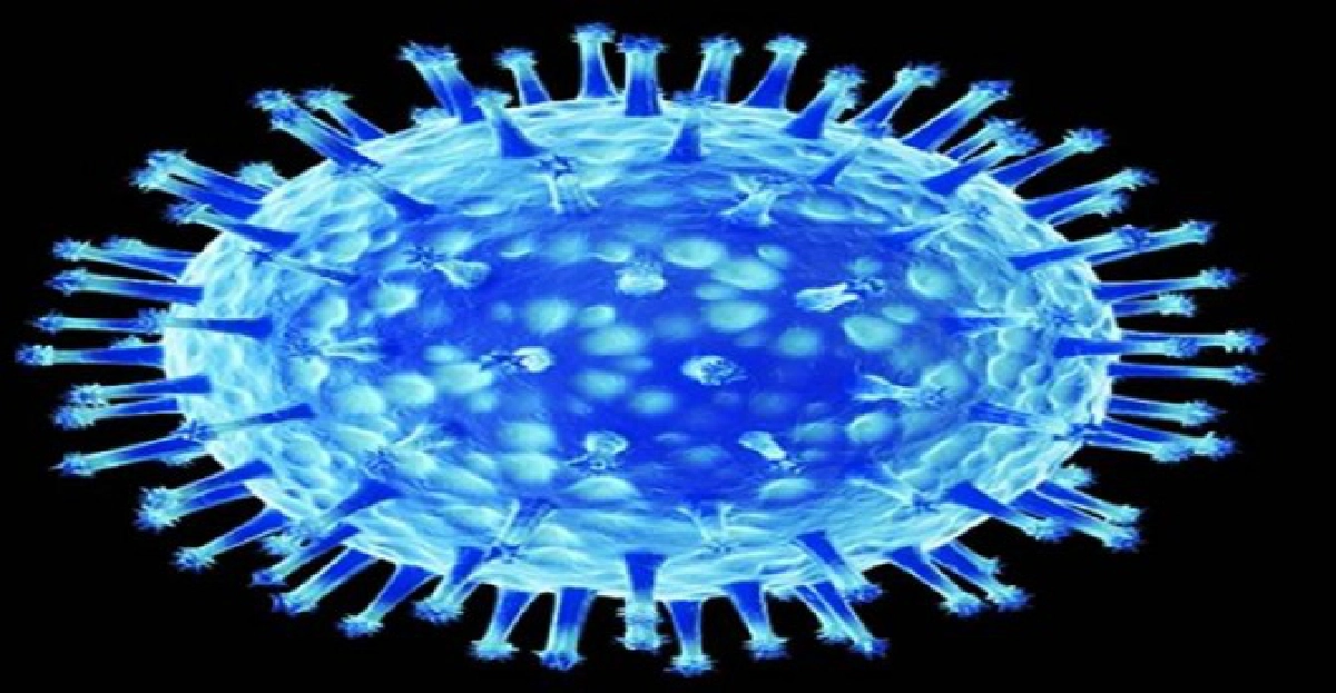 'อาร์มาเกดดอน'ไวรัสมรณะ! 'อาร์มาเกดดอน'ไวรัสมรณะ!