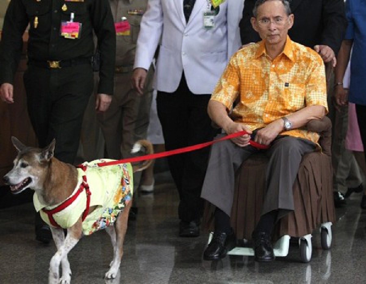 'ธ ทรงเหนือเกล้าเหนือกระหม่อมของปวงไทย'