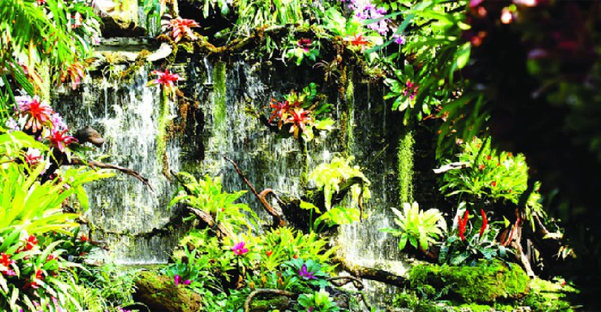 สวนสวรรค์ ในงาน 'พืชสวนโลก' สวนสวรรค์ ในงาน 'พืชสวนโลก'