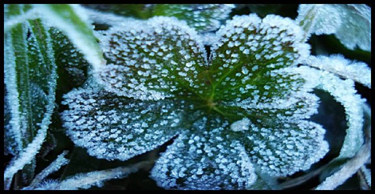 เที่ยวเชิงเกษตรบนดอย เที่ยวเชิงเกษตรบนดอย