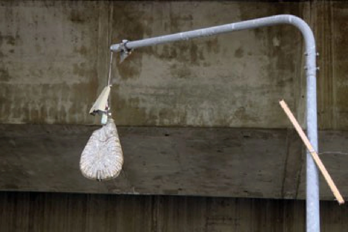 โคมไฟจะหล่นใส่หัว 