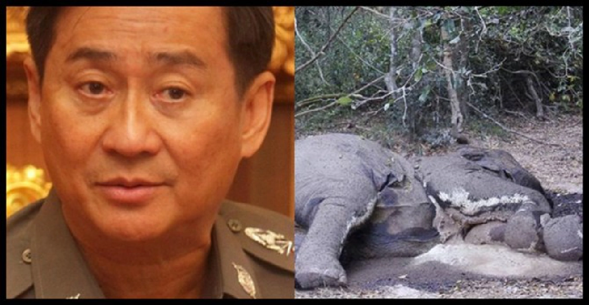 เชื่อจนท.พันฆ่าช้างแก่งกระจาน เชื่อจนท.พันฆ่าช้างแก่งกระจาน