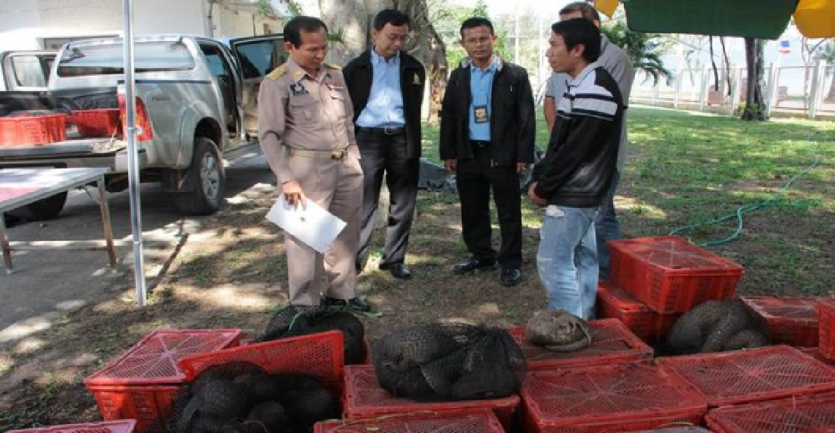 กรมศุลฯจับตัวนิ่มกว่า180ตัวขนเข้ากรุง