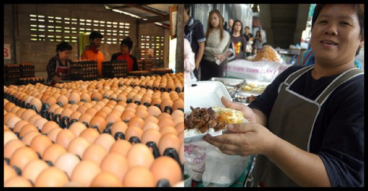 'เมนูไข่'ราคาแพงใครจะตรวจจับ? 'เมนูไข่'ราคาแพงใครจะตรวจจับ?