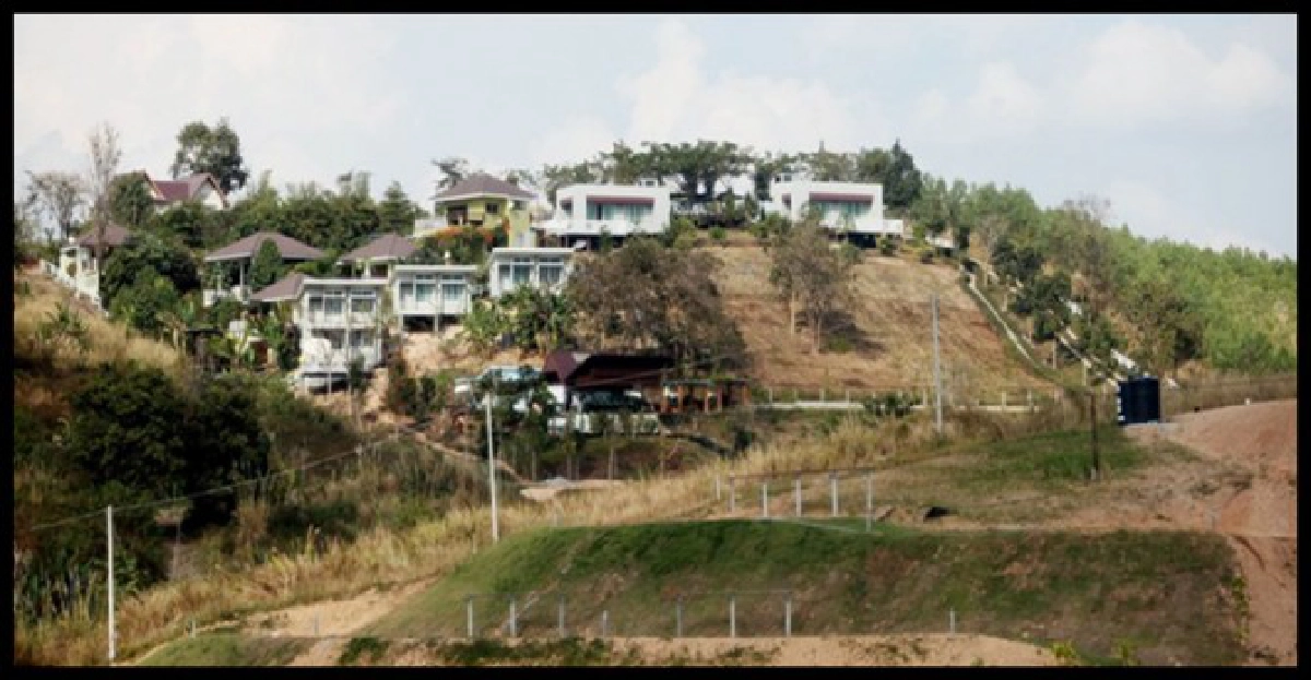 เจาะ..รายแปลงฟันรุก'วังน้ำเขียว' เจาะ..รายแปลงฟันรุก'วังน้ำเขียว'
