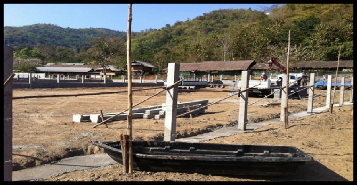 ผุดรีสอร์ทหมาชุบชีวิตตูบถูกทิ้ง