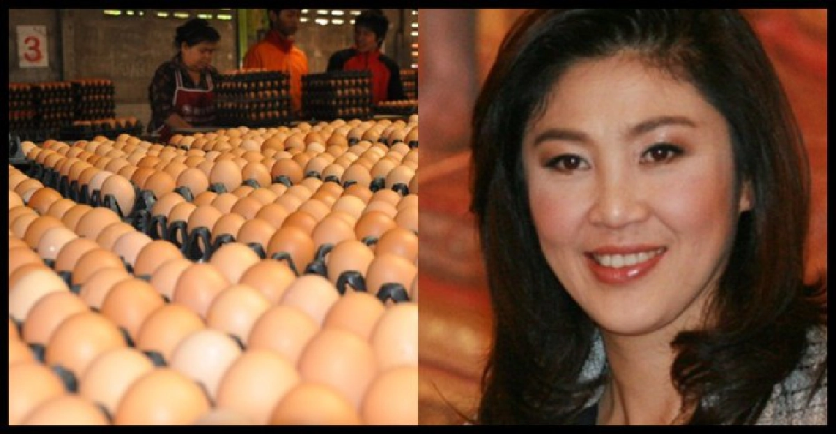 ไข่ถูกไข่แพงไม่เกี่ยวรัฐบาล ไข่ถูกไข่แพงไม่เกี่ยวรัฐบาล