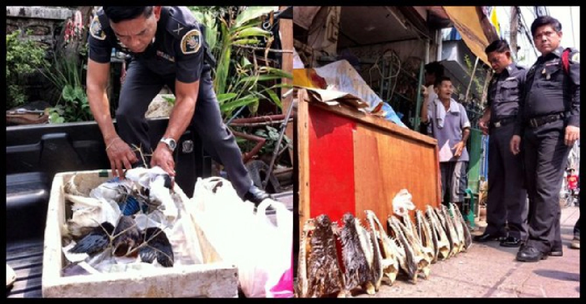 ตร.ชงออกหมายจับ'อ๊อด บางกรวย' ตร.ชงออกหมายจับ'อ๊อด บางกรวย'