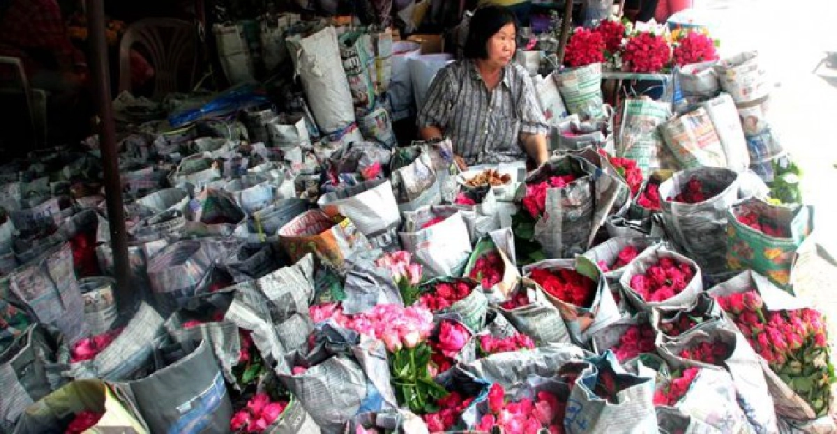 วาเลนไทน์ฟีเวอร์ออเดอร์กุหลาบอื้อ! วาเลนไทน์ฟีเวอร์ออเดอร์กุหลาบอื้อ!