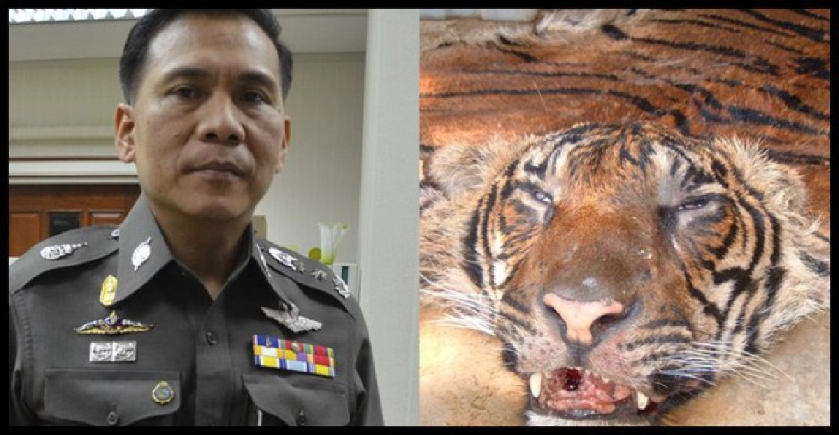 แชร์'ดีเอ็นเอ'สืบคดีค้าสัตว์ป่าทั่วโลก แชร์'ดีเอ็นเอ'สืบคดีค้าสัตว์ป่าทั่วโลก