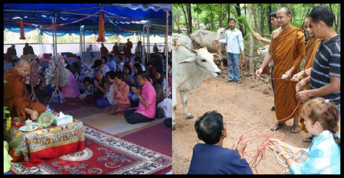 ร่วมบุญสร้างรพ.กับพระอาจารย์ทองปาน ร่วมบุญสร้างรพ.กับพระอาจารย์ทองปาน