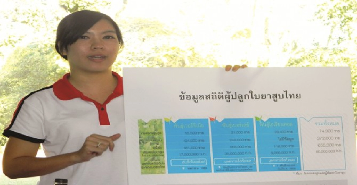 สะท้อนความจริงชาวไร่ยาสูบ สะท้อนความจริงชาวไร่ยาสูบ