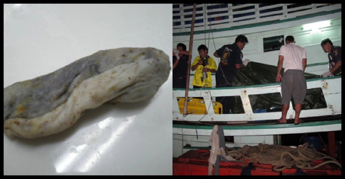 เปิบปักเป้าลูกเรือดับ2หามส่งรพ.6 เปิบปักเป้าลูกเรือดับ2หามส่งรพ.6