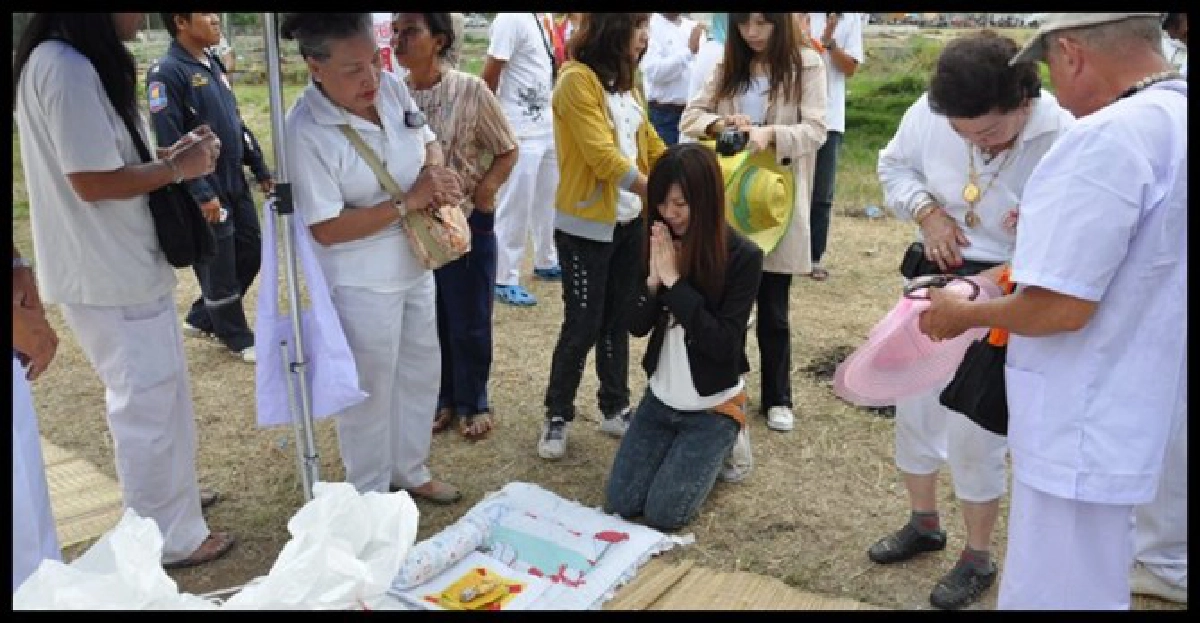 ล้างป่าช้าโคราชพบลูกกรอกไม่เน่า ล้างป่าช้าโคราชพบลูกกรอกไม่เน่า